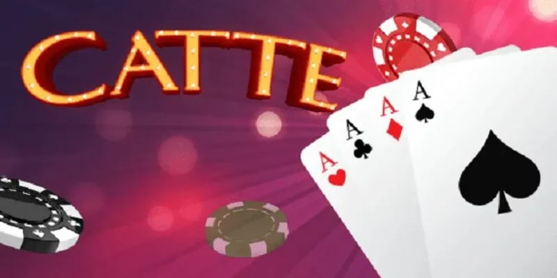 Bài catte